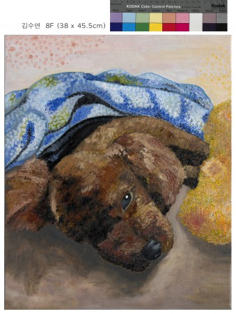 이상한 나라의 강아지 The dog in a wonderland